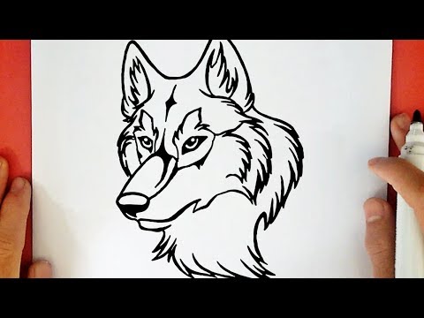 COMMENT DESSINER UN LOUP