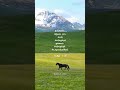 Unmmai Nambum Naan Bakkiyavan Jesus Tamilchristensong Whatsappstatus