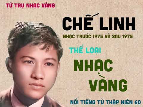 không còn nhớ người yêu - Chế Linh - trước 1975