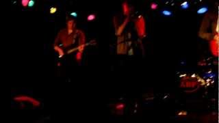 Omnivision - Animal Kingdom @ Växhuset