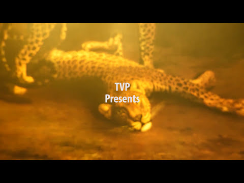 Jones Maestro-Do Your Thing (Official Music Video)