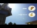 Cartoon Network TOO Web Channel City Next Bumpers 2011
