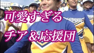 山梨学院のチアと袴姿の応援団がぐうかわ！甲子園2018夏