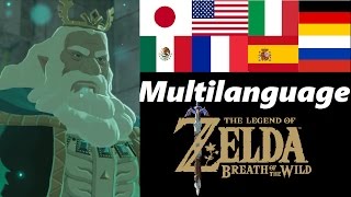 King Rhoam Multilanguage | What Happened 100 Years Ago | Zelda Breath of the Wild