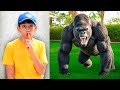 Jason And The Animals Adventure Learn Animals Names For Kids