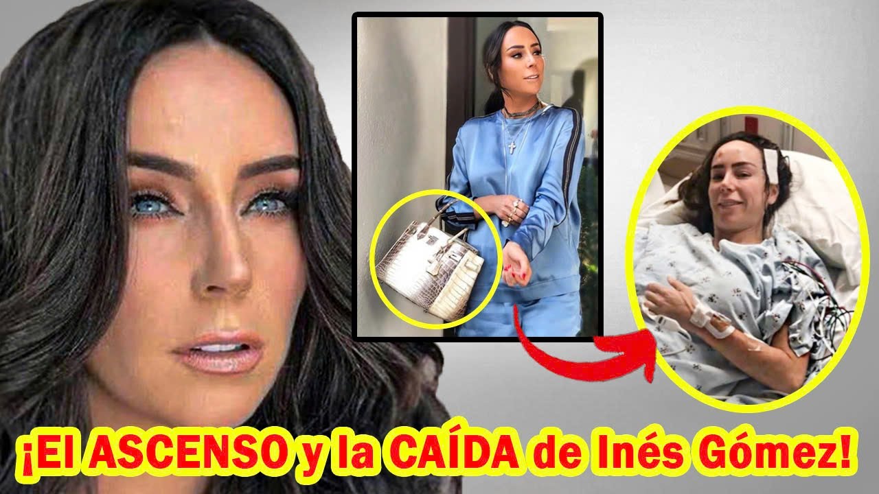 YouTube Thumbnail Downloader FULL HQ IMAGE