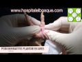 Clavos En Aves Cura Por Segunda Intención Pododermatitis Plantar En Aves