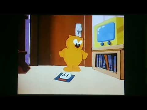 Iggy forgot Heathcliff's Birthday