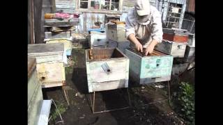 Весенняя пересадка пчел в новый улей - Видео онлайн
