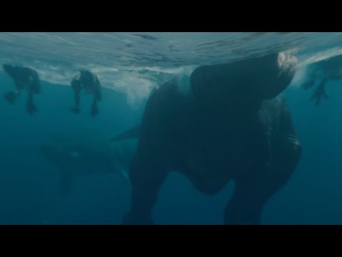 Mosasaurus hunting a swimming T-rex family | prehistoric planet