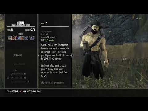 Cyrodil's Most Notorious PvP Tank Build #eso