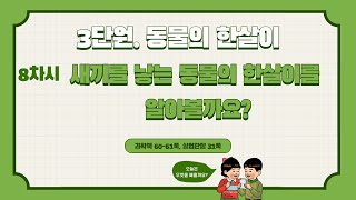 [미니쌤] 3학년 과학 3단원 8차시. 새끼를 낳는 동물의 한살이를 알아볼까요?