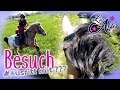 Lia Alfi Visit From HeyHorse Ride FMA