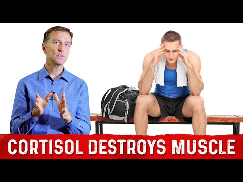 The Only Way to End Stress and Lower Cortisol