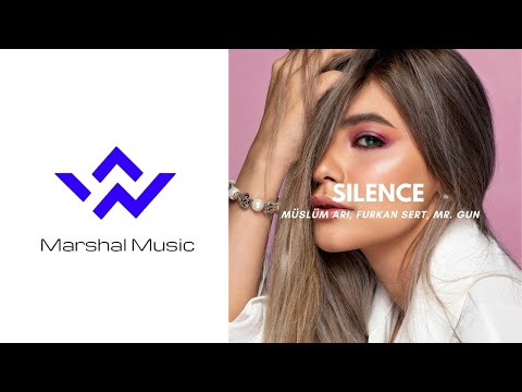 Müsiüm Arı, Furkan Sert, Mr Gun - Silence