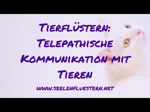 Tierflüstern: Telepathische Kommunikation mit Tieren