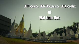 ワット・スアンドックでのフォーン・カン・ドック