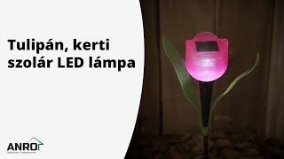 Videó: Globiz Tulipán, kerti szolár LED lámpa