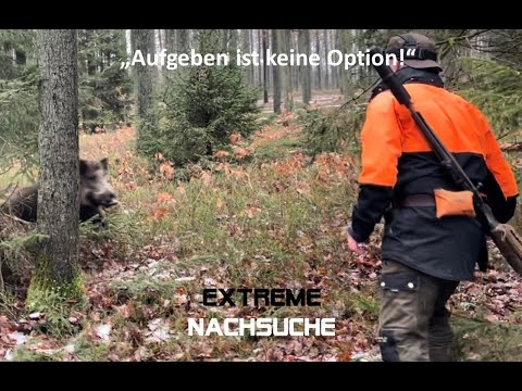 Tracking with the Bloodhound - Giving up is not an option