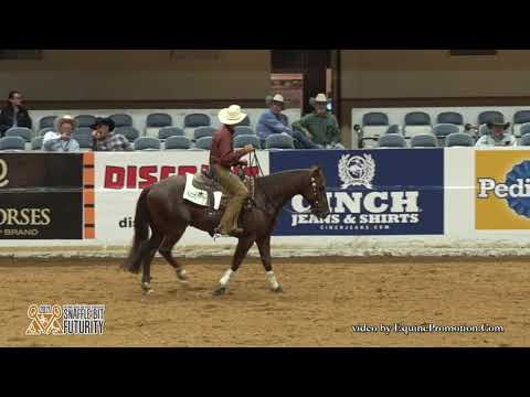 WR Hotshot ridden by Cayley R. Wilson  - 2017 Snaffle Bit Futurity (Cow Work, IO/LO FINALS)