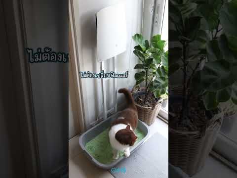 QAIS Air-04 เคลียร์ทุกกลิ่น โดยไม่ต้องพึ่งสเปรย์! 🐶🐱