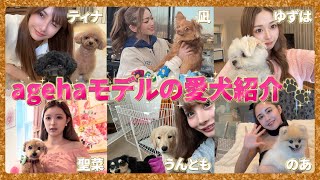 愛しすぎてごめん♡私たちagehaモデルの愛犬紹介！?