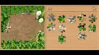 🐢 Tortoise Jigsaw Puzzle - Animals Puzzles for Kids Walkthrough