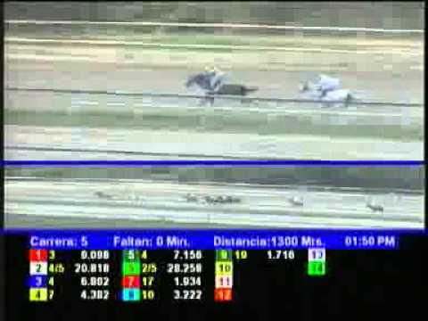 5TA CARRERA VIERNES 19 ABRIL LA RINCONADA AUDIOHIPISMO