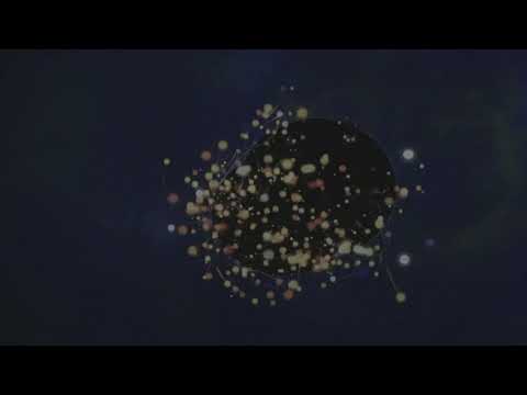 Kaywan - Suicide Watch (Official Visual)