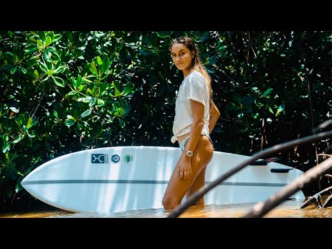 30 Minutes with Pacha Light - Go Fish, Gamma, Sea Trees, and growing up in Ecuadorian Cloud Forrest