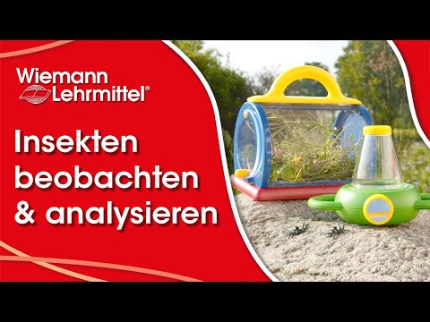 Insekten beobachten und die Natur entdecken (2021)