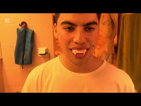 דרקולהט"ב - פרויקט 24 - 2025 - אילן בארי ונעם