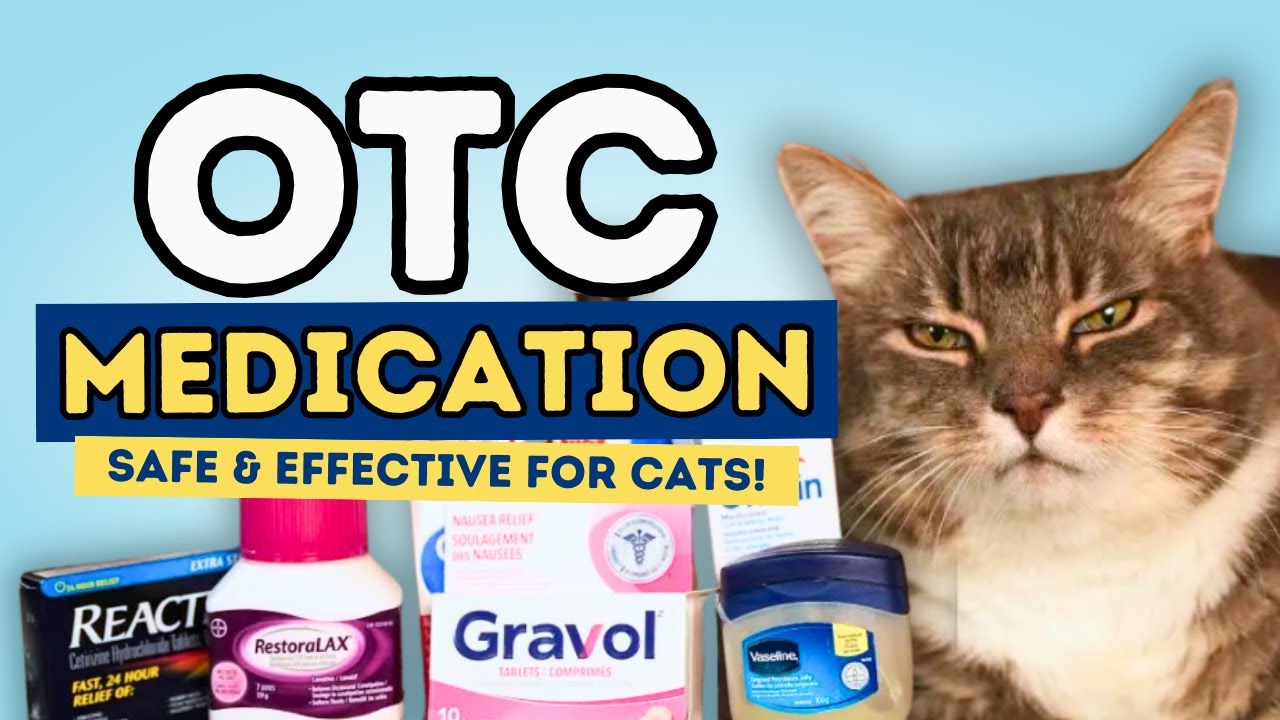Top 7 OTC Meds Your Cat Absolutely Needs