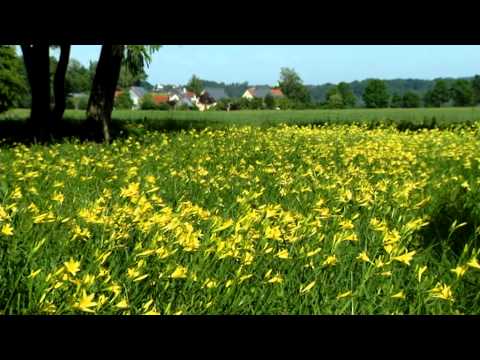 Die Natur im Wittelsbacher Land