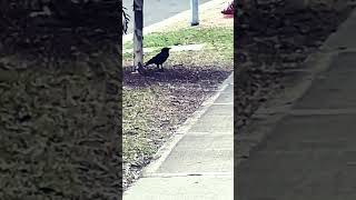 Download lagu ⁴⁴¹|101|4Ď¹Â⁰Â|2Ê 06 7004 30UR17Ê; 80L4 61ST T81T W8938 9S 7004 mp3