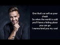 One Direction - I want to write you a song (lyrics)