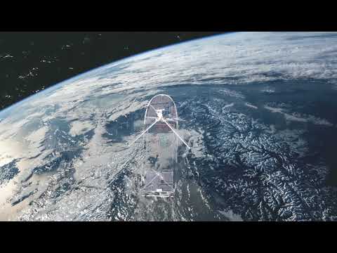 bearly - Life (Official Music Video)