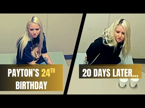 Patyton Shires