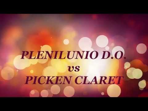 PREVIA JORNADA 9 LIGA FEMENINA 2 - PLENILUNIO DO vs PICKEN CLARET