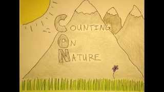 Counting On Nature #4 'lattice think about It'