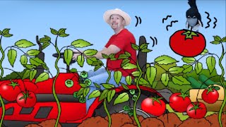 How many tomatoes? Pick them all! | English For Children | English For Kids