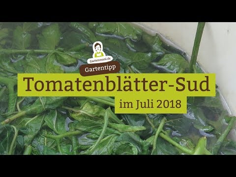 , title : 'Tomaten und Kohl düngen mit Tomatenblättersud'