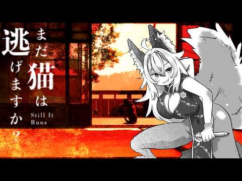 【 #PR #まだ猫は逃げますか 】 今日は猫???探索???ニゲマスカ?
