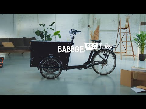 The Babboe Pro Trike
