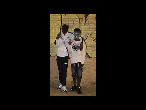 GUARACHA AL RITMO DE LAS CEBRAS🦓🍀!(Santi_Dj) CHAKALEO #guaracha #colombia #viral #cali #soundcloud