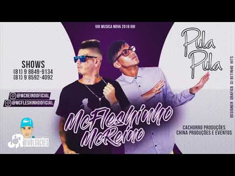 MC FLESHINHO E MC REINO - PULA PULA - MÚSICA NOVA 2018