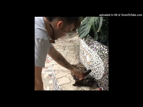 elvirt presley - rugir de los mares