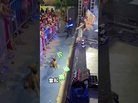 小狗簡直是全場追星最成功的