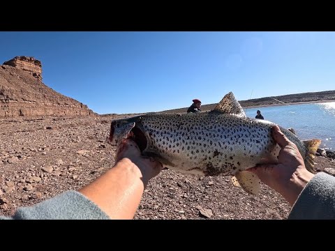 FIN DE SEMANA PESCANDO EN EL CHOCON !! #pesca #trucha #neuquen 