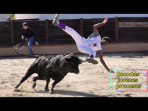 Recortes clasificatorio Nacional , Noviembre 2025 , Finca Los Tomillares del Rey